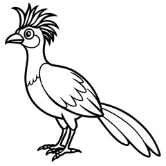 Hoatzin line art vector