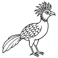 Hoatzin line art vector