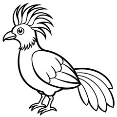 Hoatzin line art vector