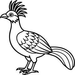 Hoatzin line art vector