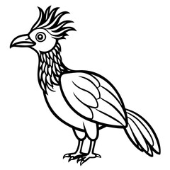 Hoatzin line art vector