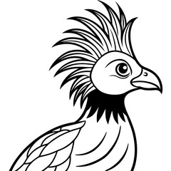 Hoatzin line art vector