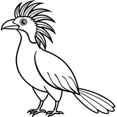 Hoatzin line art vector