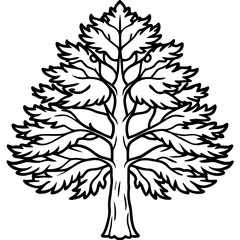 Obraz premium Dawn Redwood line art vector
