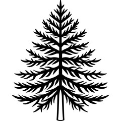 Fototapeta premium Dawn Redwood line art vector