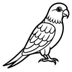 Parakeet line art vector