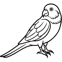 Parakeet line art vector