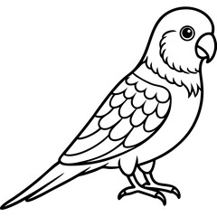 Parakeet line art vector