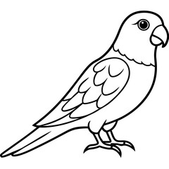 Parakeet line art vector