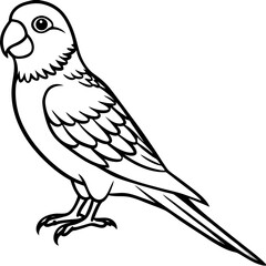 Obraz premium Parakeet line art vector