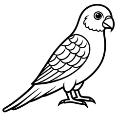 Parakeet line art vector
