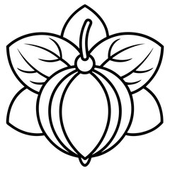 Sassafras line art vector