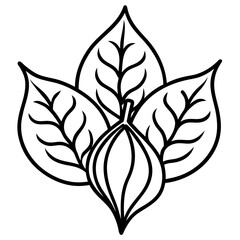 Sassafras line art vector