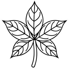 Sassafras line art vector