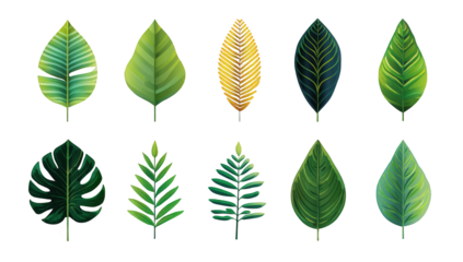 Collection of stylized tropical leaves