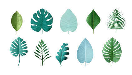 Collection of stylized tropical leaves in various shades of teal and green