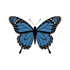 Blue Swallowtail Butterfly Illustration – Black and Blue Butterfly Vector with Detailed Wings