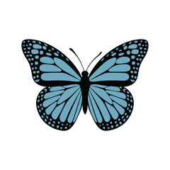 Blue Butterfly Illustration – Black and Blue Butterfly Vector with Detailed Wings