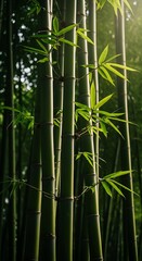 Vibrant Green Bamboo Stalks and Leaves in Sunlit Forest with Natural Bokeh Background