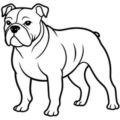Bulldog line art vector