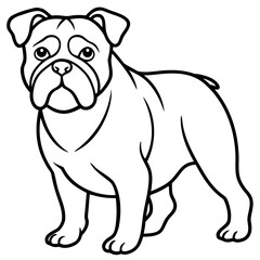 Fototapeta premium Bulldog line art vector