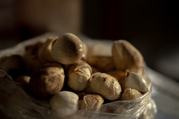 Freshly Picked Mushrooms, Organic Mushrooms in a Bag