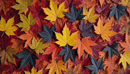  Colorful Maple Leaf Background: Autumnal Texture and Pattern