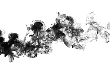 Fototapeta premium Abstract black smoke swirls against white background