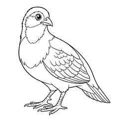 Obraz premium Sweet Anime Style African Francolin Coloring Page Kids Detailed Animal Line Art