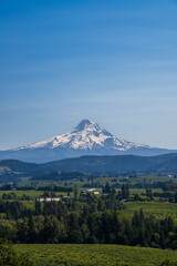 Fototapeta premium Mount Hood covered in snow in early summer in Oregon, with green pastures, orchards and farms of Hood valley in the foreground, hazy blue sky