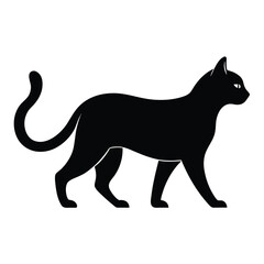 Black cat silhouette 