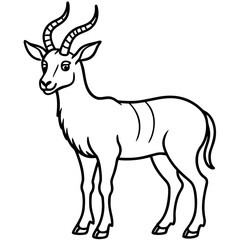 Markhor line art vector