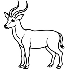 Markhor line art vector