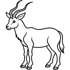Fototapeta premium Markhor line art vector