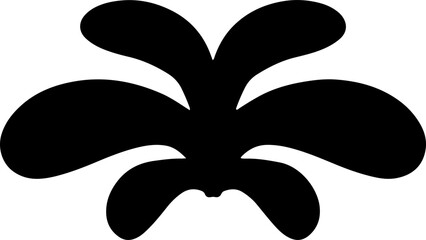 black and white abstract