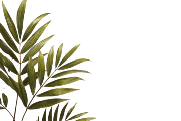 Close-up of stylized palm fronds against a dark background