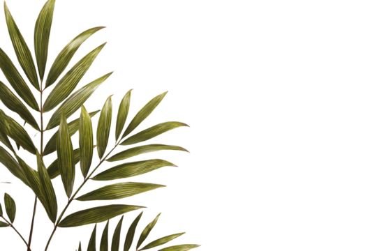 Close-up of stylized palm fronds against a dark background