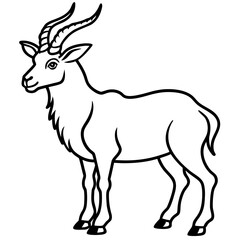 Markhor line art vector