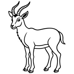 Markhor line art vector