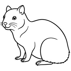Rock Hyrax line art vector