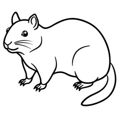 Rock Hyrax line art vector