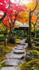 Autumnal Japanese garden pathway