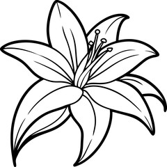 Lily line art vector