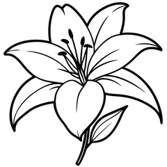 Obraz premium Lily line art vector
