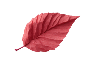Detailed illustration of a vibrant pink leaf