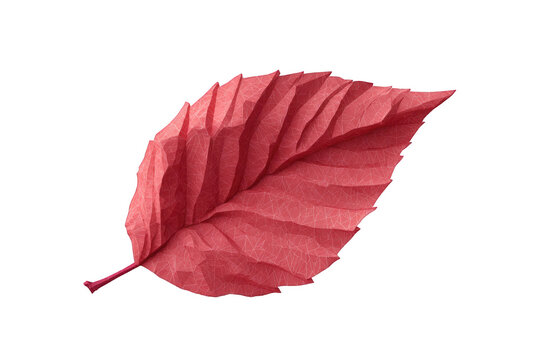 Detailed illustration of a vibrant pink leaf