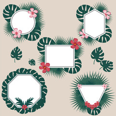 set of floral elements for design