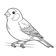 Cheerful Anime Style African Canary Coloring Page for Kids Detailed Bird Line Art