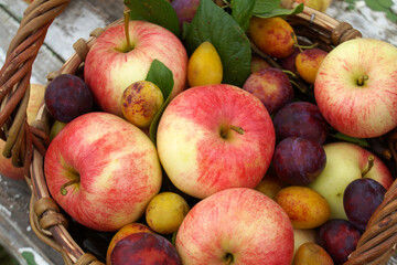 Ripe apples and plums with leaves fill a wicker basket, embodying the essence of autumn harvest.