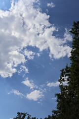 White clouds drifting across vibrant blue sky over green trees